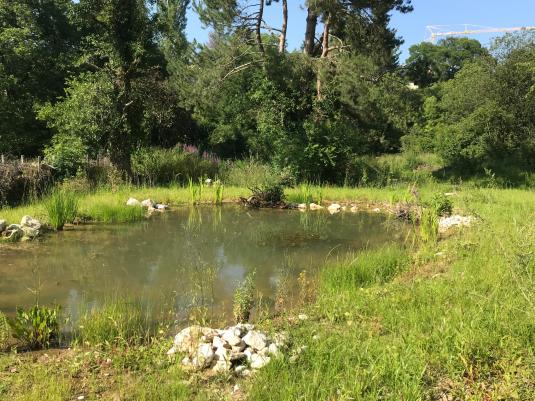 Medienmitteilung vom 18.08.2022 des Kantons Basel-Stadt / Basel-Stadt stärkt weitere Naturschutzgebiete – Schutz des Autals in Riehen wird erweitert