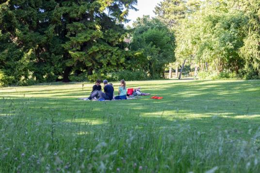 Familie im Park