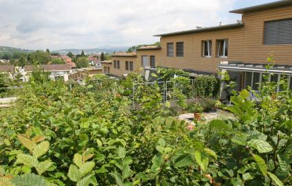 Gerhalde - Natur ums Haus