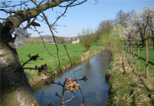 Alter Teich, Im Brühl
