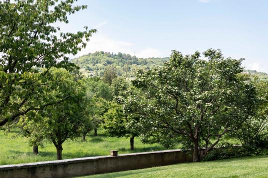 Blick von der Fondation Beyeler über die Grenze auf den Tüllinger Hügel